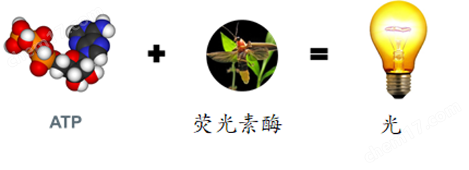 污泥活性检测设备